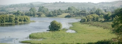 Wetland Image