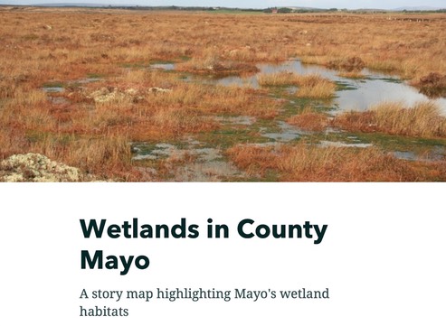 Mayo Wetlands Story Map 2021