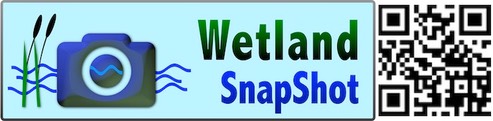 Wetland SnapShot Landscape with QR 2021 Sml